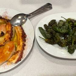 Grilled octopus and padron peppers. So amazing!!