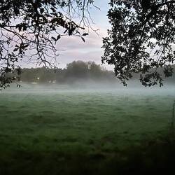 Misty magical morning