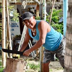 Stets gabs frische Kokosmilch