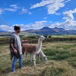 Lamas💞
