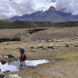 Bim Horse Back riding