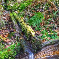 Wasser ist so wichtig...