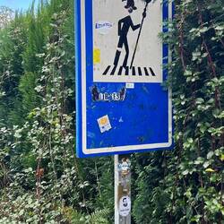 Witchy pilgrim crossing?