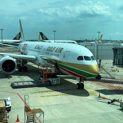 Gulf Air 787 with special livery.