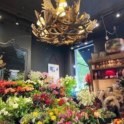 Gorgeous florist where we got Gertje's flowers