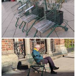 Repurposed shopping carts