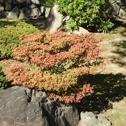 A little bit of colour change