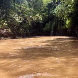 Muddy water from the hard rains the last couple days