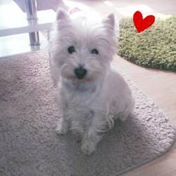 Ich werde dich nie vergessen ❤️😪