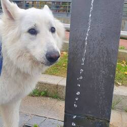 Jede Wasserstelle war ein Segen