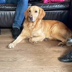 Pablo is an absolutely gorgeous boy