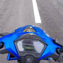 Mal sperren angeblich wegen eines Elefanten 🤔