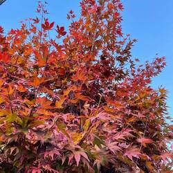 The vivid colours are everywhere