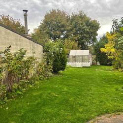 Lovely lush back garden