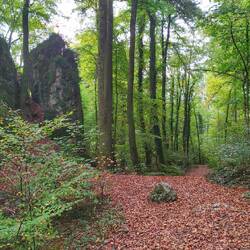 Der letzte Wandertag beginnt