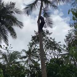 Touristennepp 👻👻👻