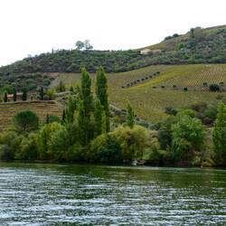 The Douro Valley