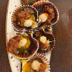 Scallips for dinner!