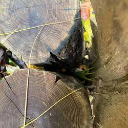 Return to the spot where we found it