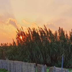 Abendstimmung am Meer