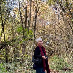 The area became quite heavily wooded