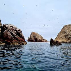 Islas Ballestas