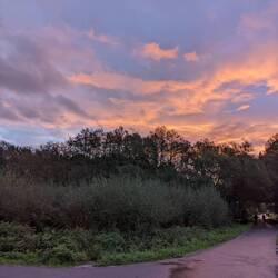 Dawn after leaving O Pedrouzo