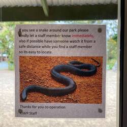 fands irgendwie lustig. Is ja nicht so, dass Schlangen hier in freier Natur leben.