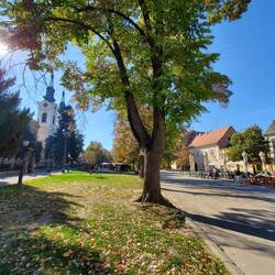 Sremski Karlovci town