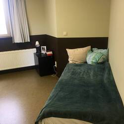 Langsam wirds gemütlicher :)