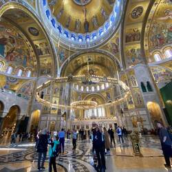 Lots of gold plating