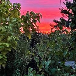 Stunning sunrise