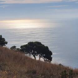 Morgendlicher Blick aufs Meer