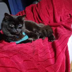 Squirt cuddling ouma