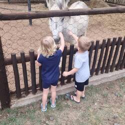 Although the Donkey bit Erin.... And there were tears.... She still fed him!
