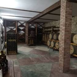 The wine cellar