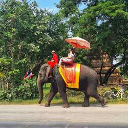 ich hasse Menschen!!! 🤬🤬