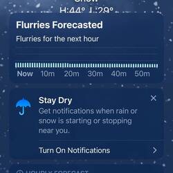 Morning forecast