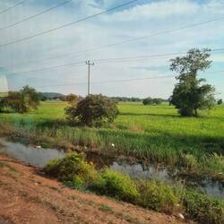 Ganz schön hier in Kambodscha