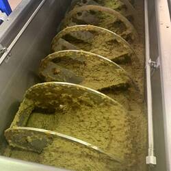 Die gemahlenen Oliven