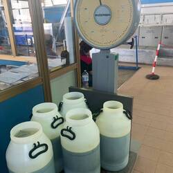 Fertiges kalt gepresstes Olivenöl