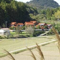 Little Japanese style buildings near or lunch stop