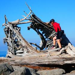 Driftwood hut on the Ediz Hook