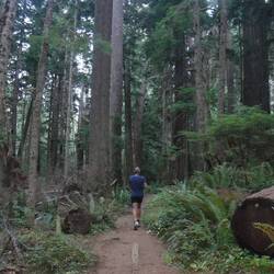 Running the Heart of the Hills Trail from our campground