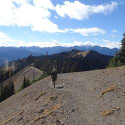Heading down Hurricane Ridge