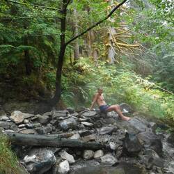 Taking a break from the heat. Such beautiful bush.