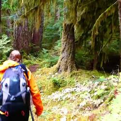 Strolling down Lover's Lane