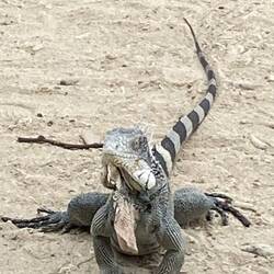 Besuch am Strand