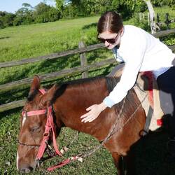 Chantal hat das "Streberpferd" verwütscht und Thomas das langsame, immer fressende...😂