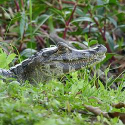 15 Meter von unserem Zimmer entfernt....😬